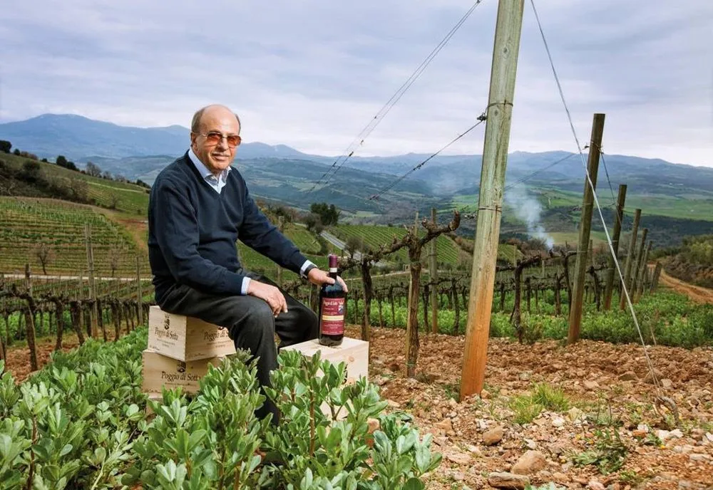 Collemassari S.p.a. Società Agricola - Montalcino Tuscany, Italy