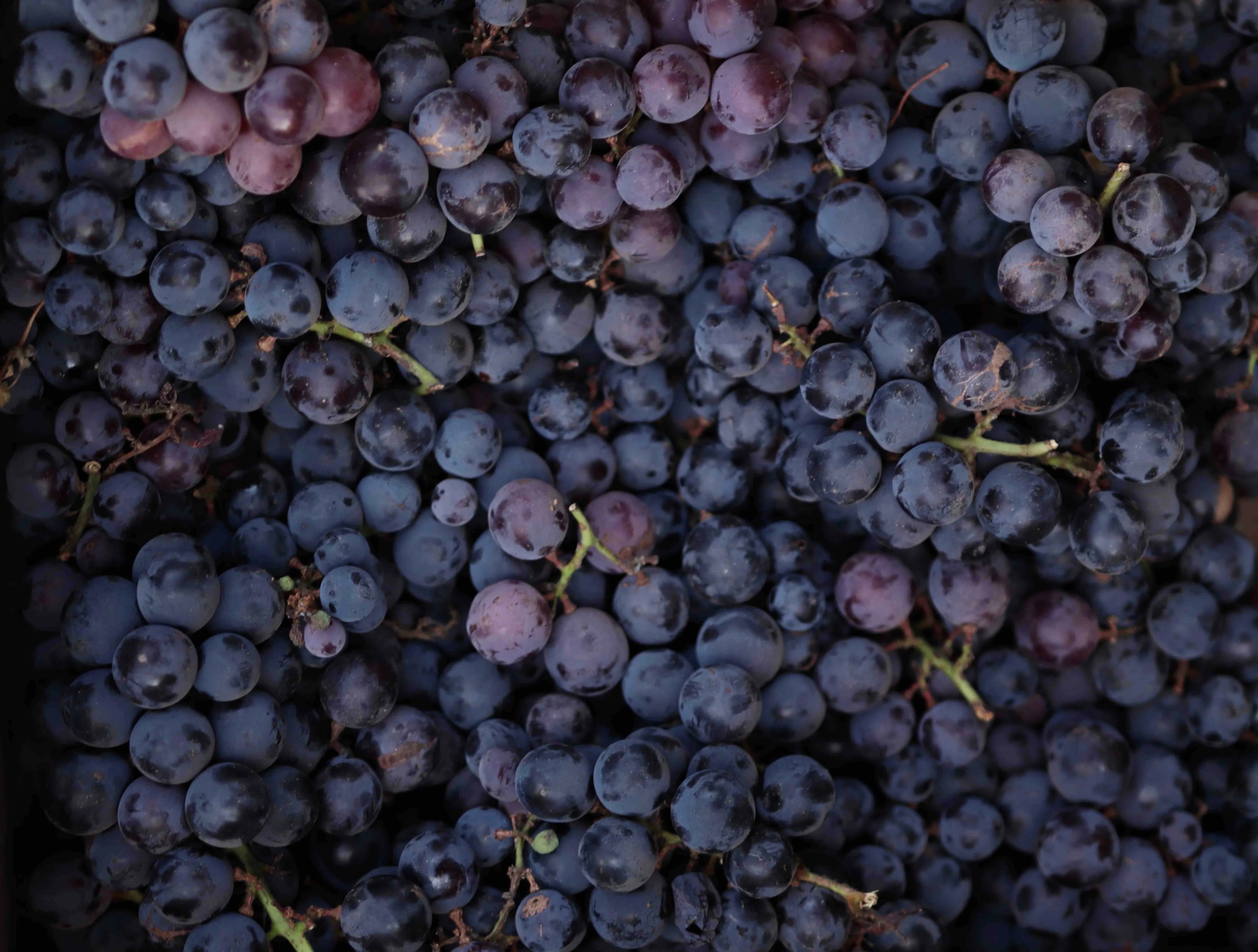 Our selected producers
